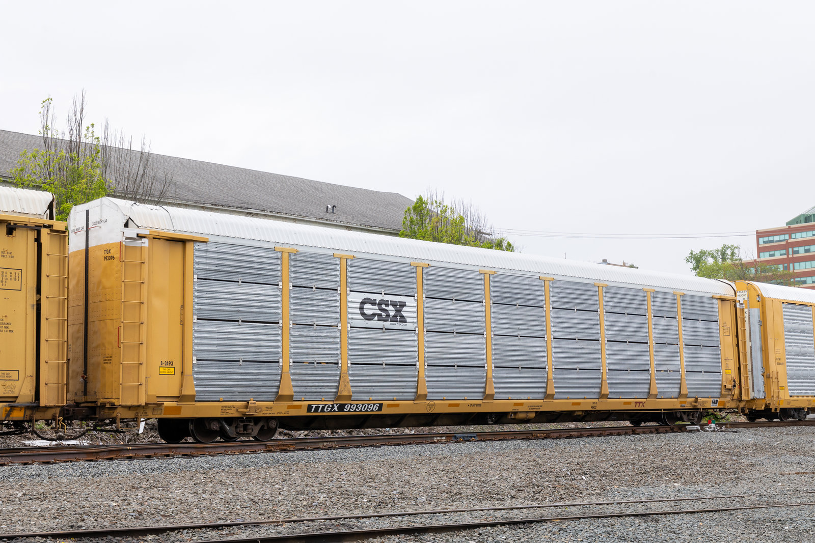 TTGX 993096