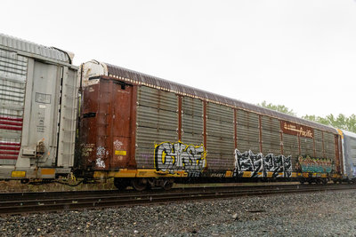 TTGX 254871