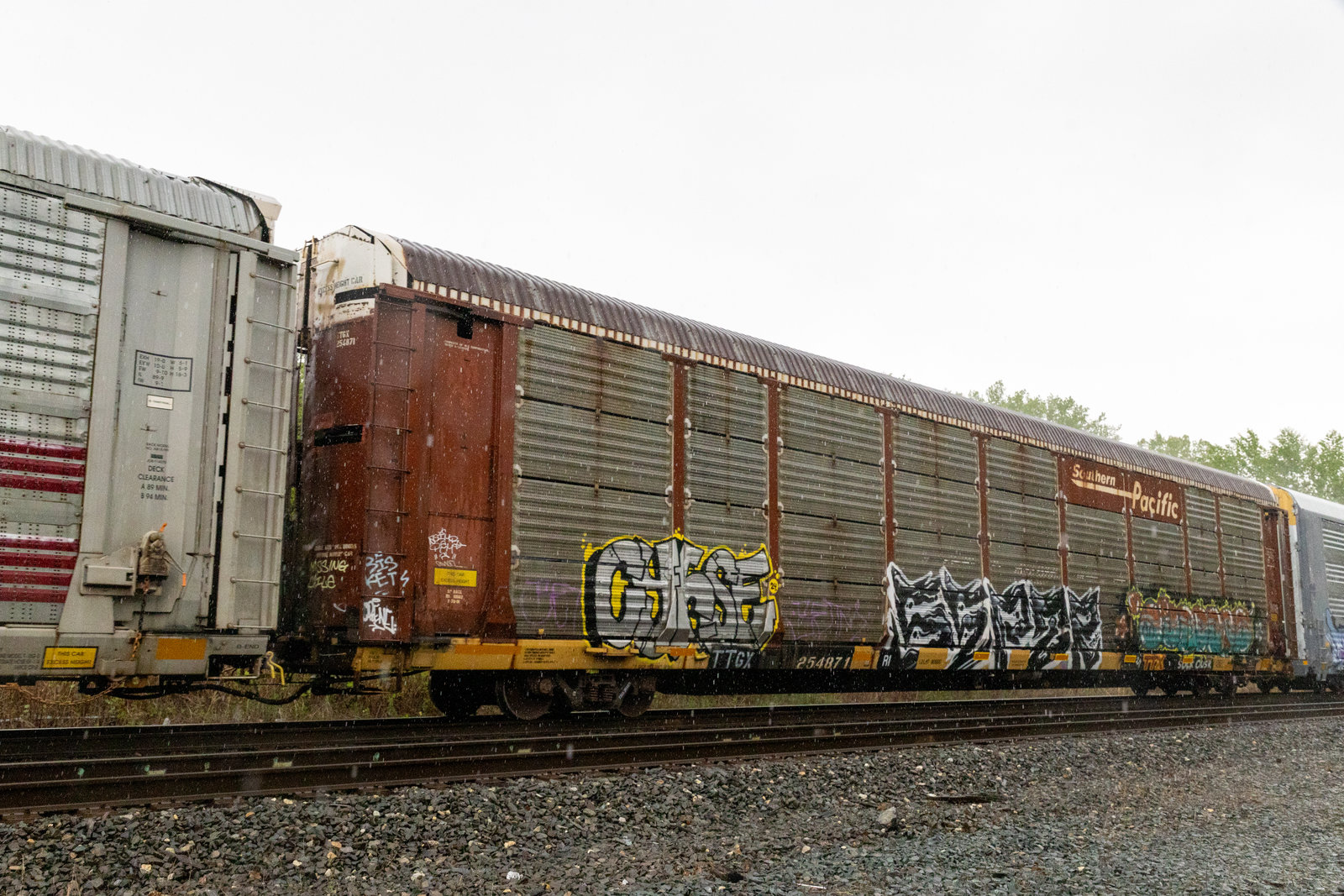 TTGX 254871