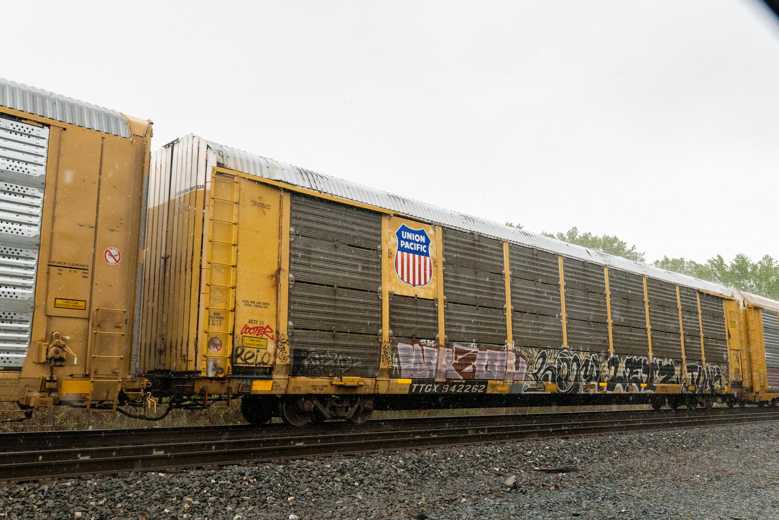 TTGX 942262