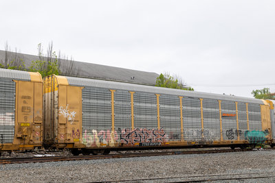 TTGX 967019