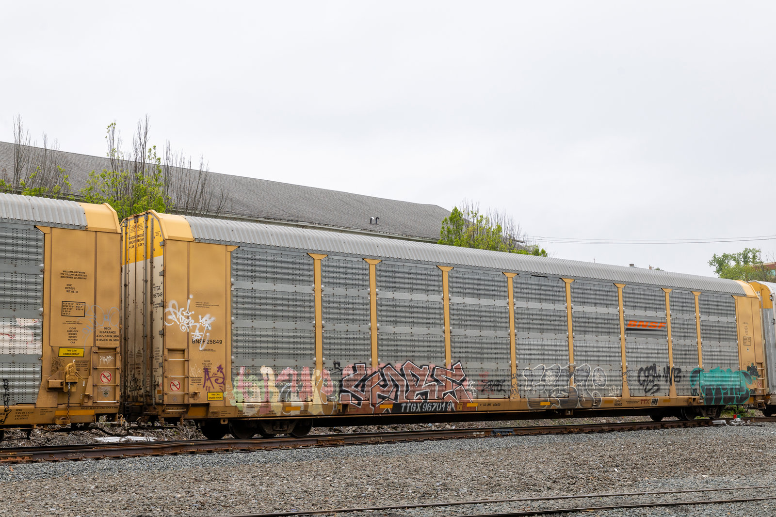 TTGX 967019