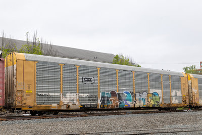 TTGX 716119
