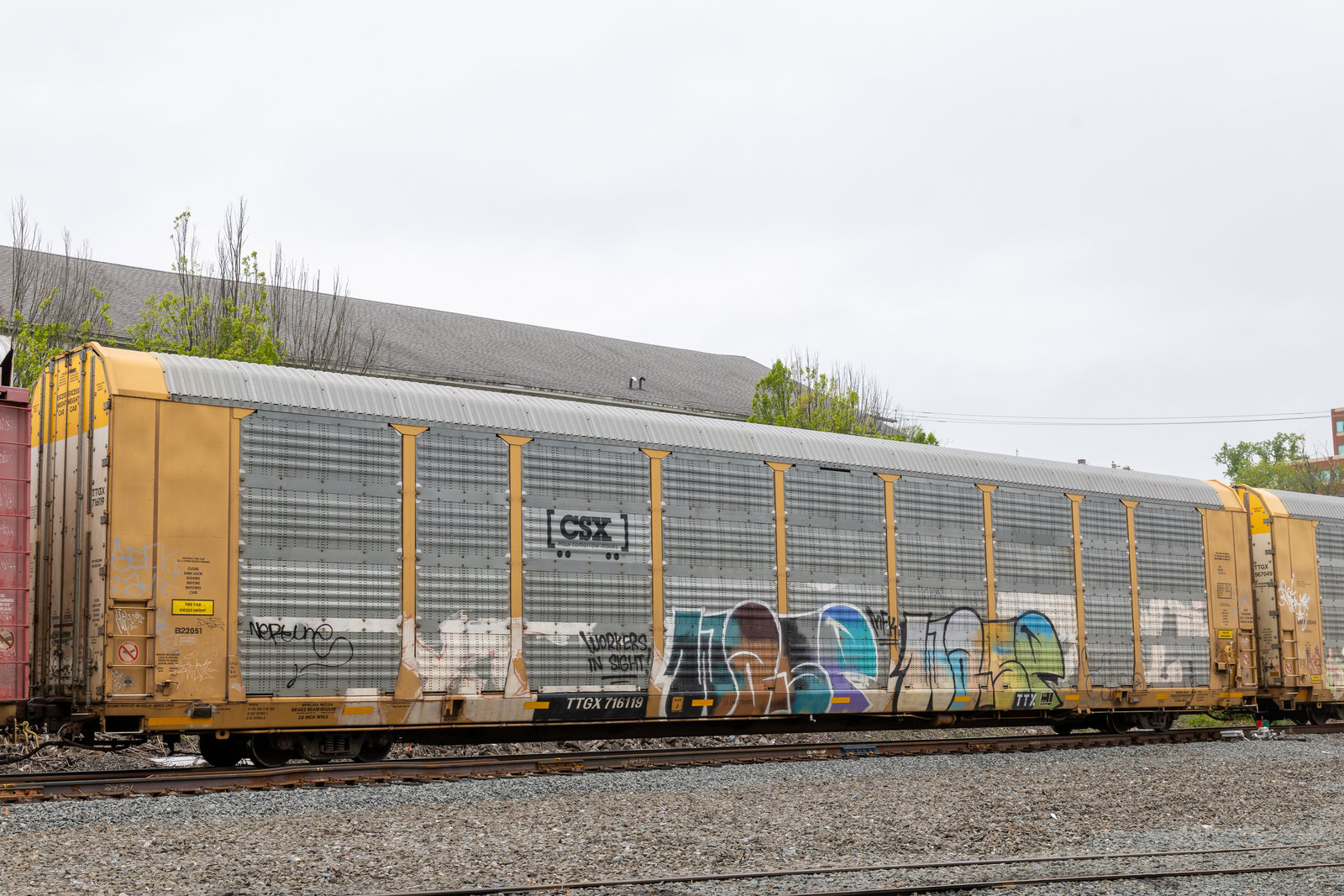 TTGX 716119
