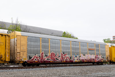 TTGX 967033