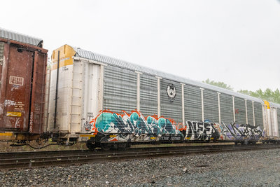 TTGX 707662