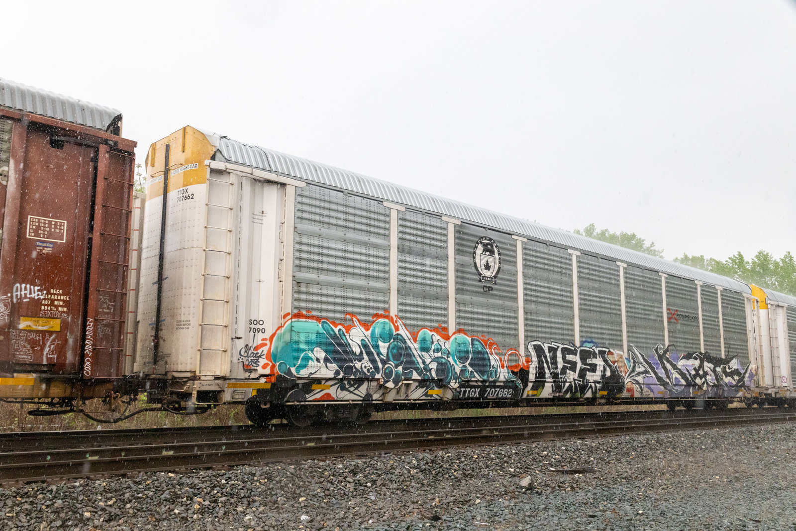 TTGX 707662