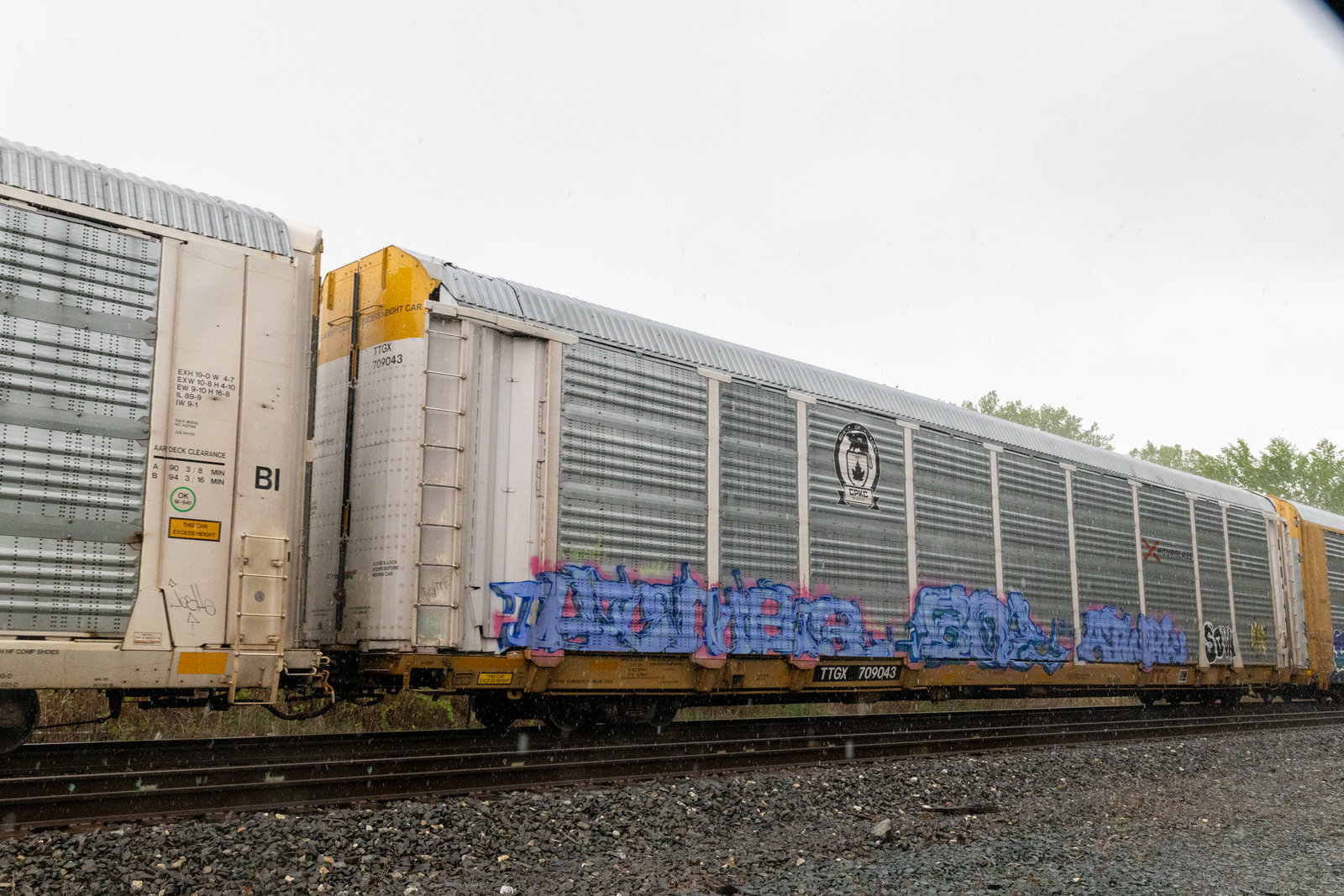 TTGX 709043