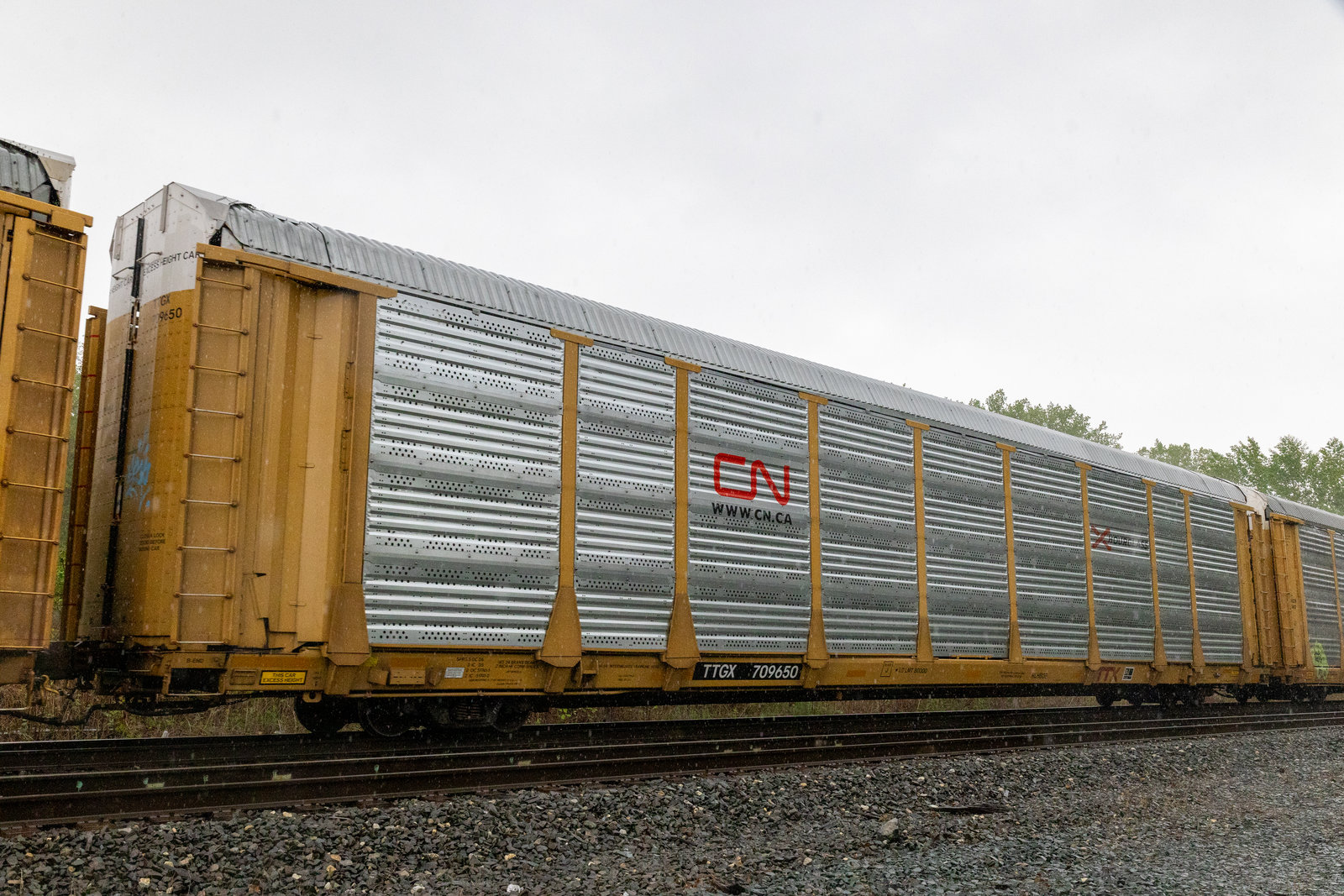 TTGX 709650