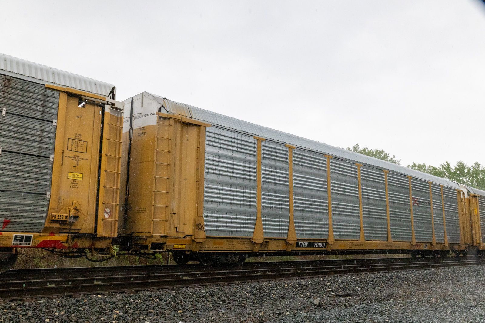 TTGX 701811