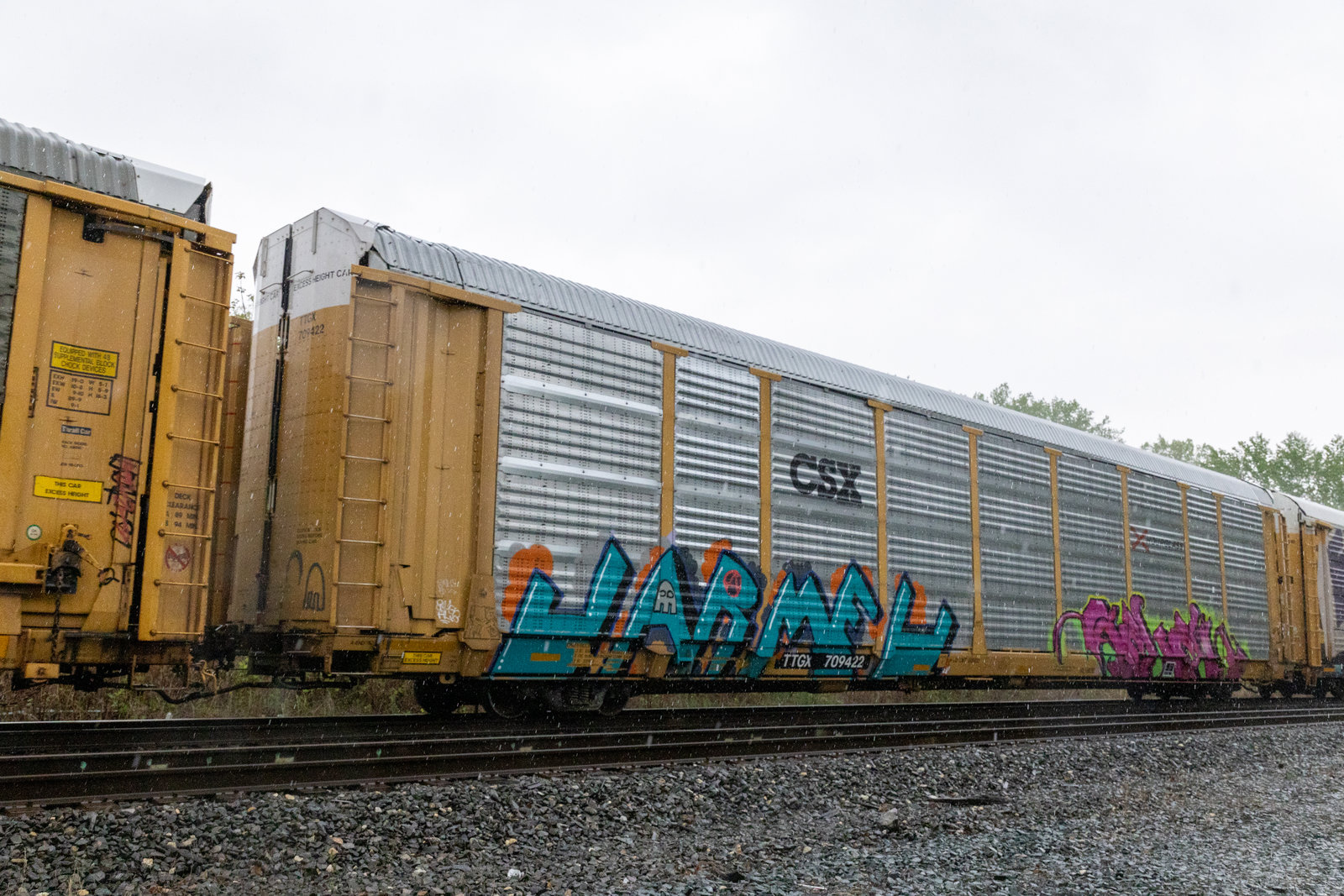 TTGX 709422