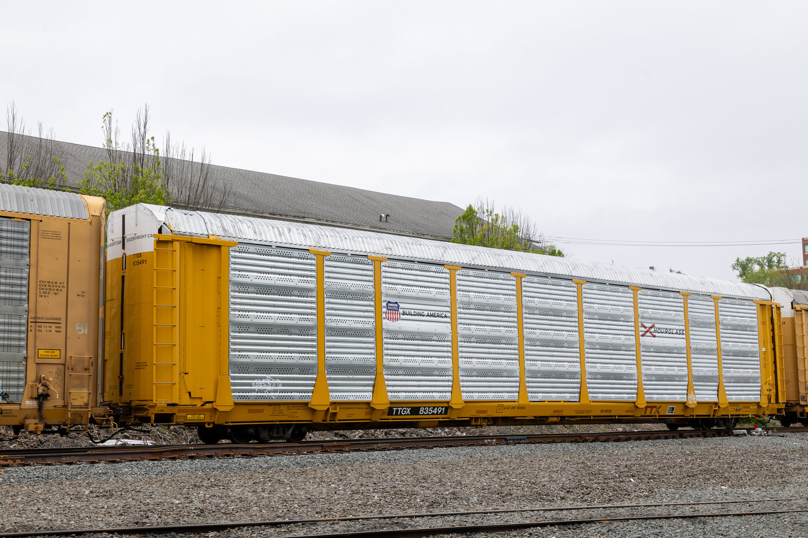 TTGX 835491