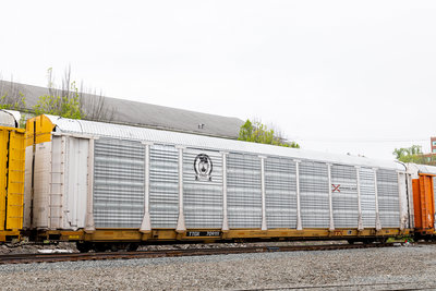 TTGX 709111