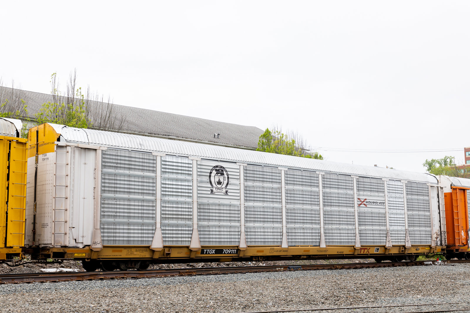 TTGX 709111