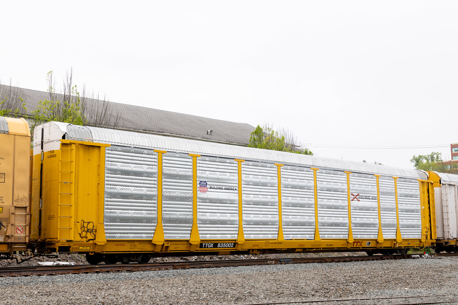 TTGX 835002