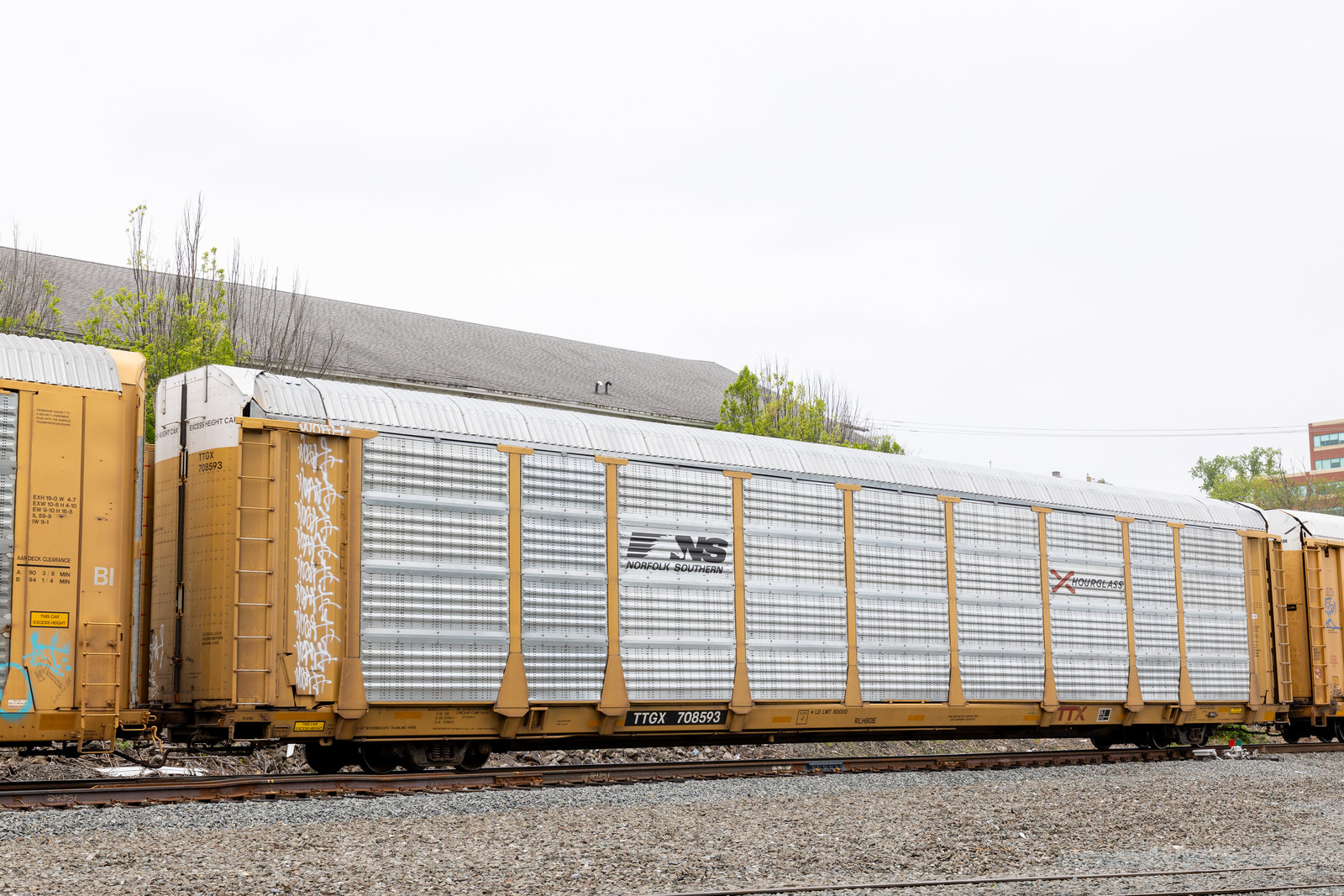 TTGX 708593