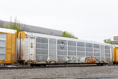 TTGX 707679