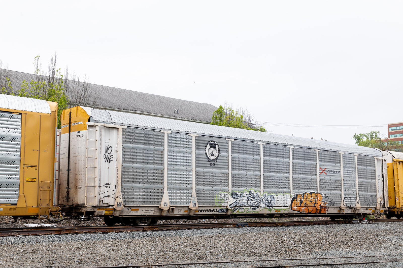 TTGX 707679