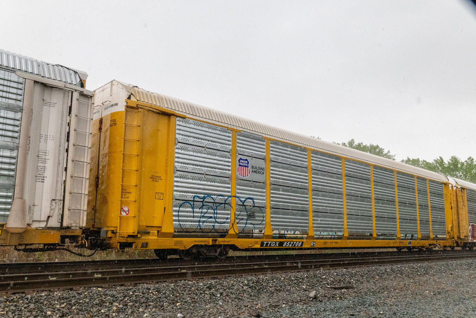 TTGX 852708