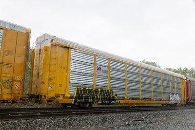 TTGX 851876
