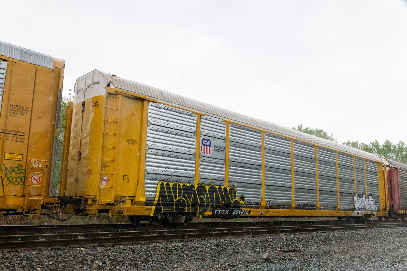 TTGX 851876