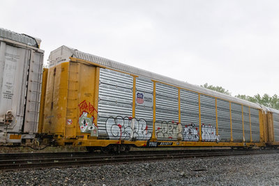 TTGX 851977