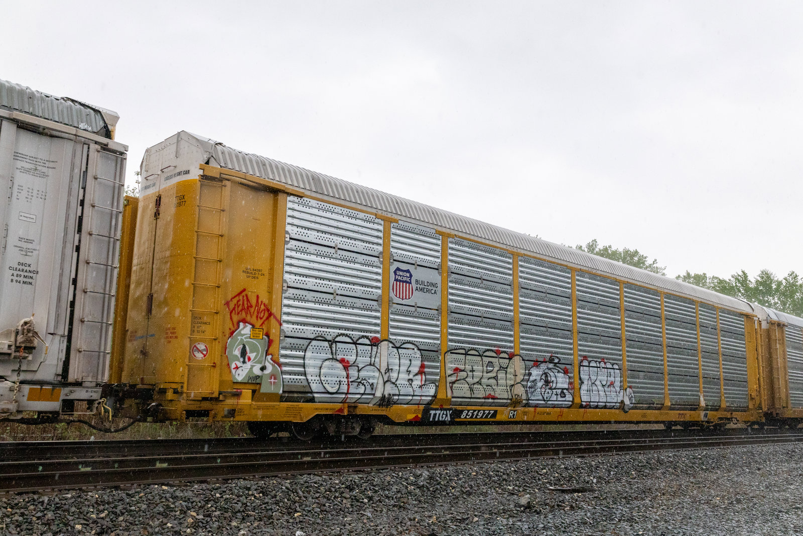 TTGX 851977