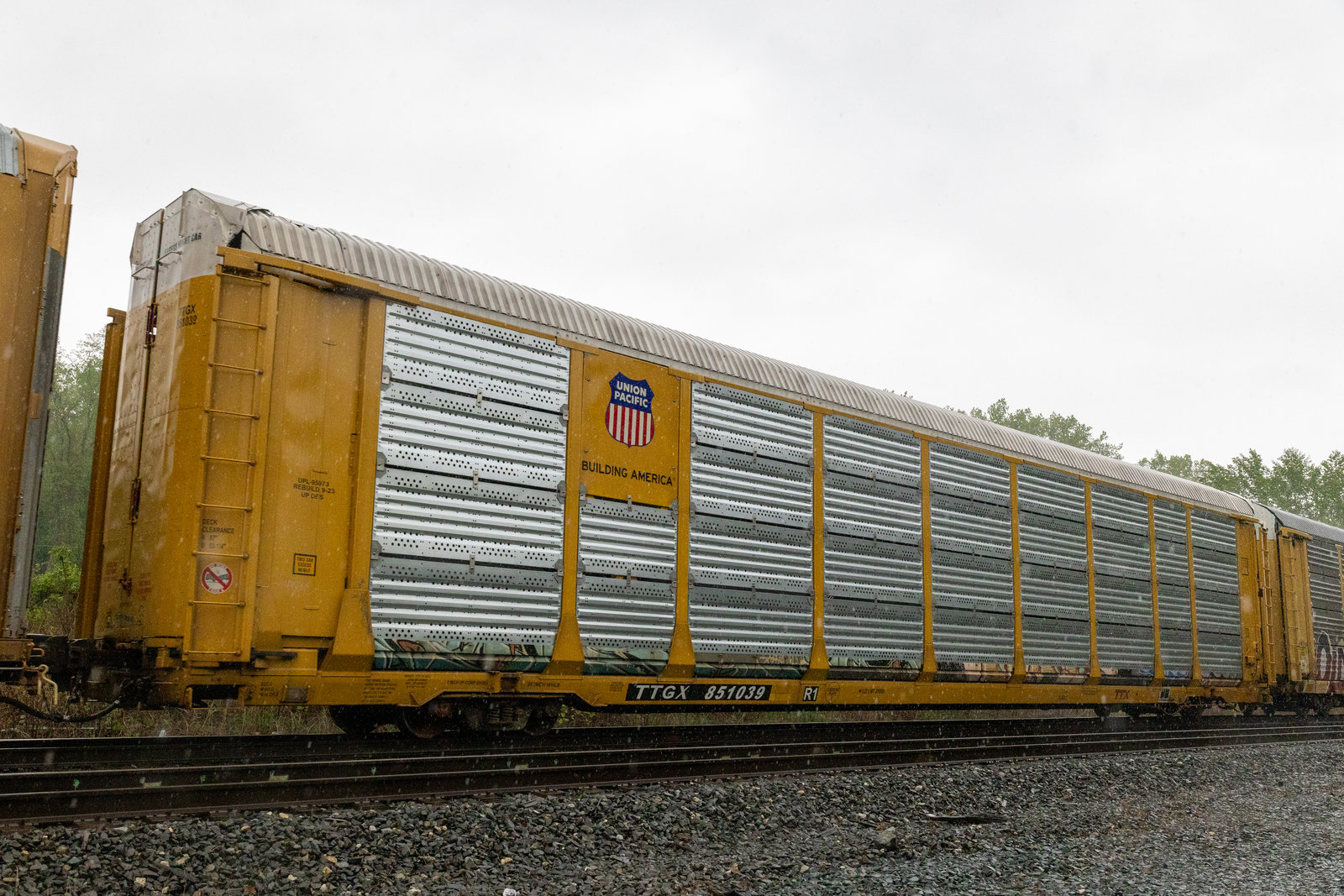 TTGX 851039