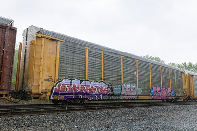 TTGX 851494