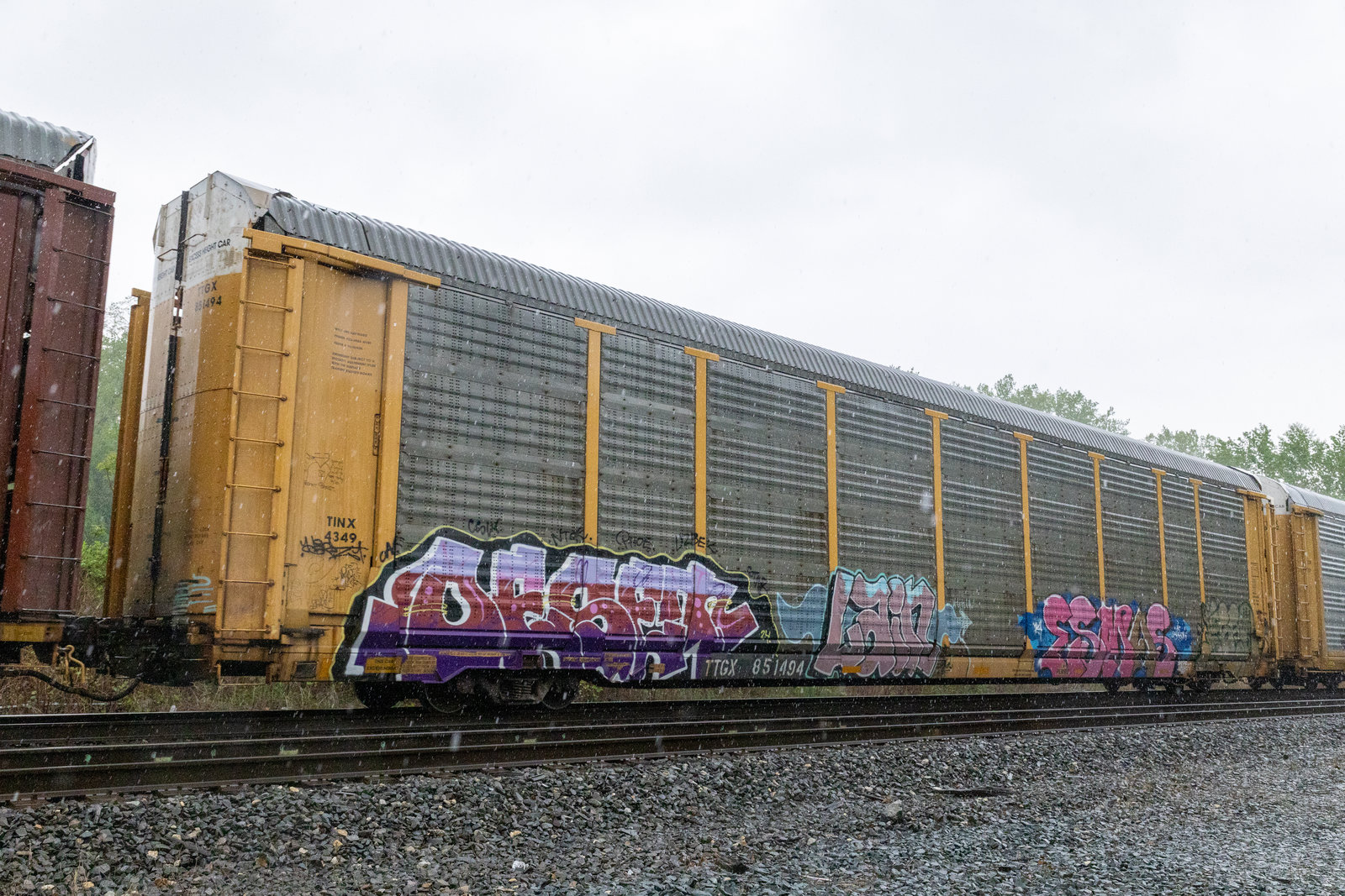 TTGX 851494