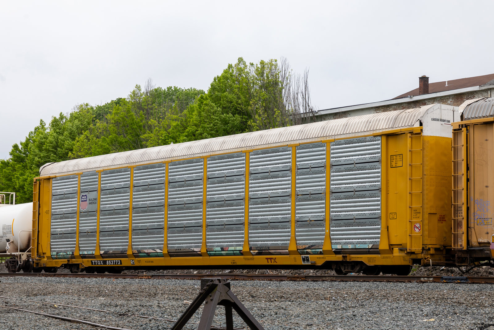 TTGX 853773