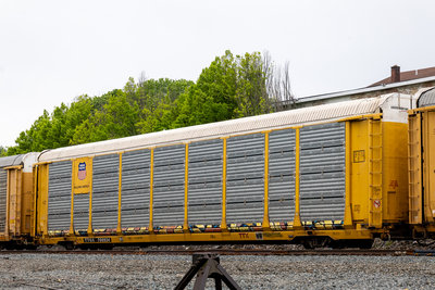 TTGX 700924