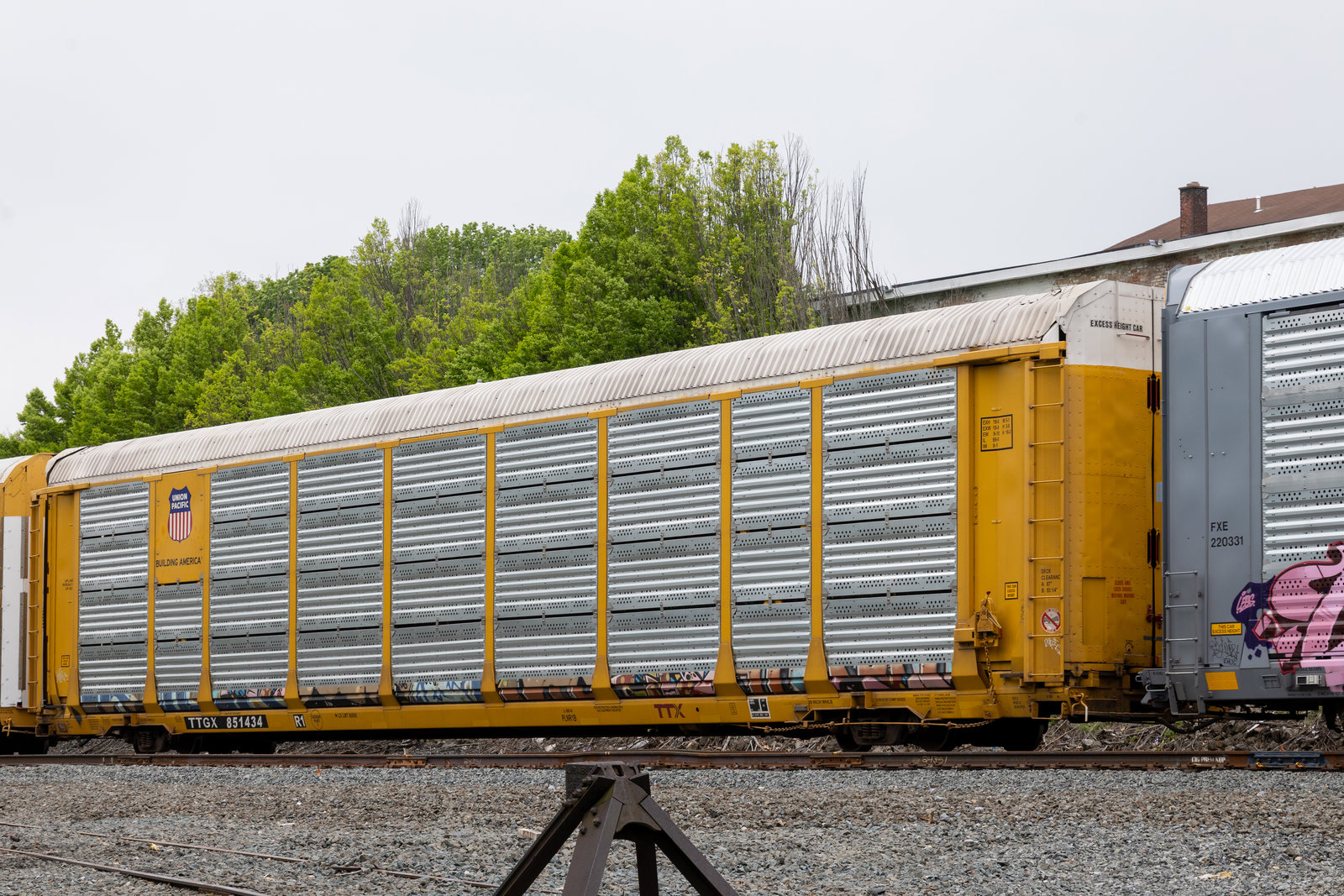 TTGX 851434