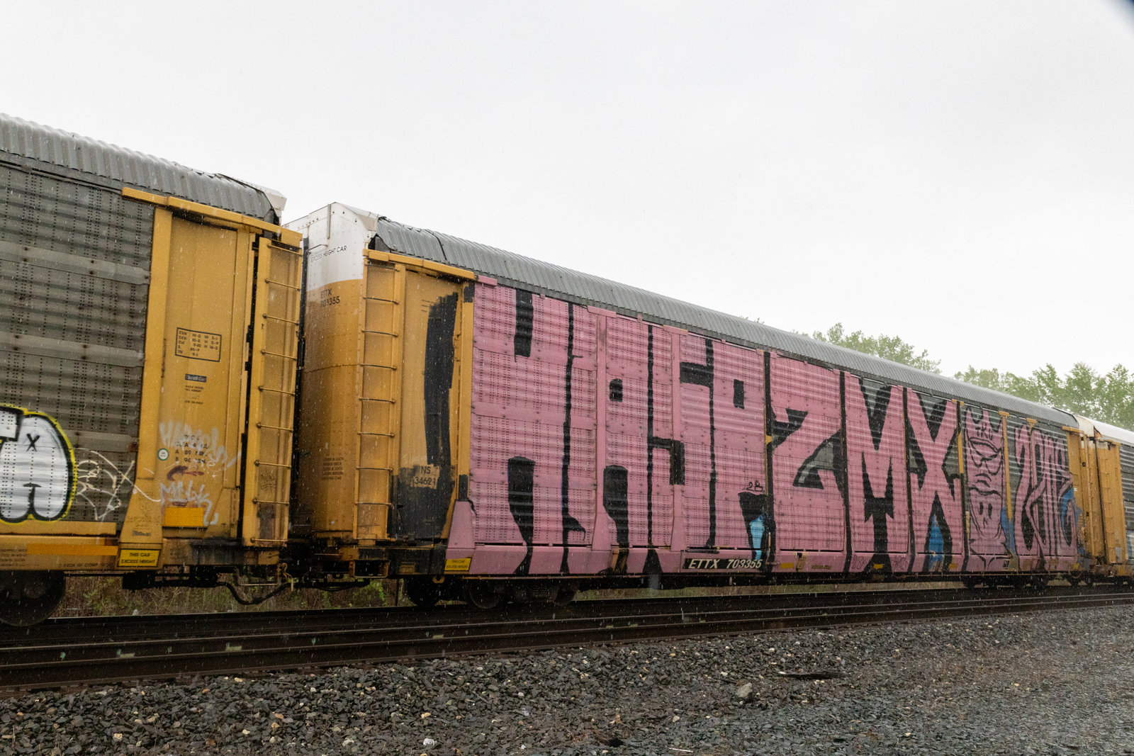 ETTX 703355