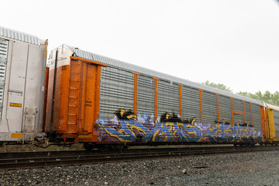 BNSF 301036