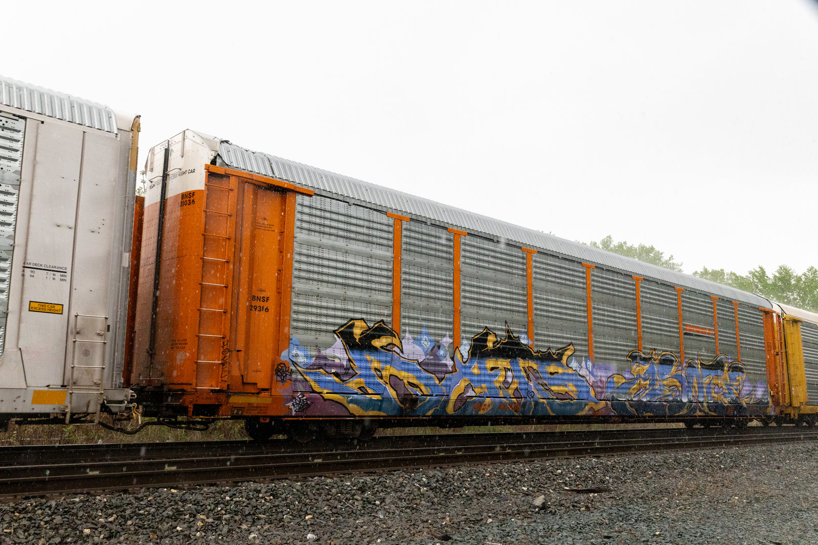 BNSF 301036