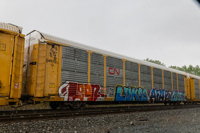 CNA 712316