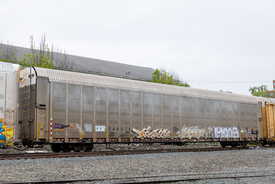 CP 546071