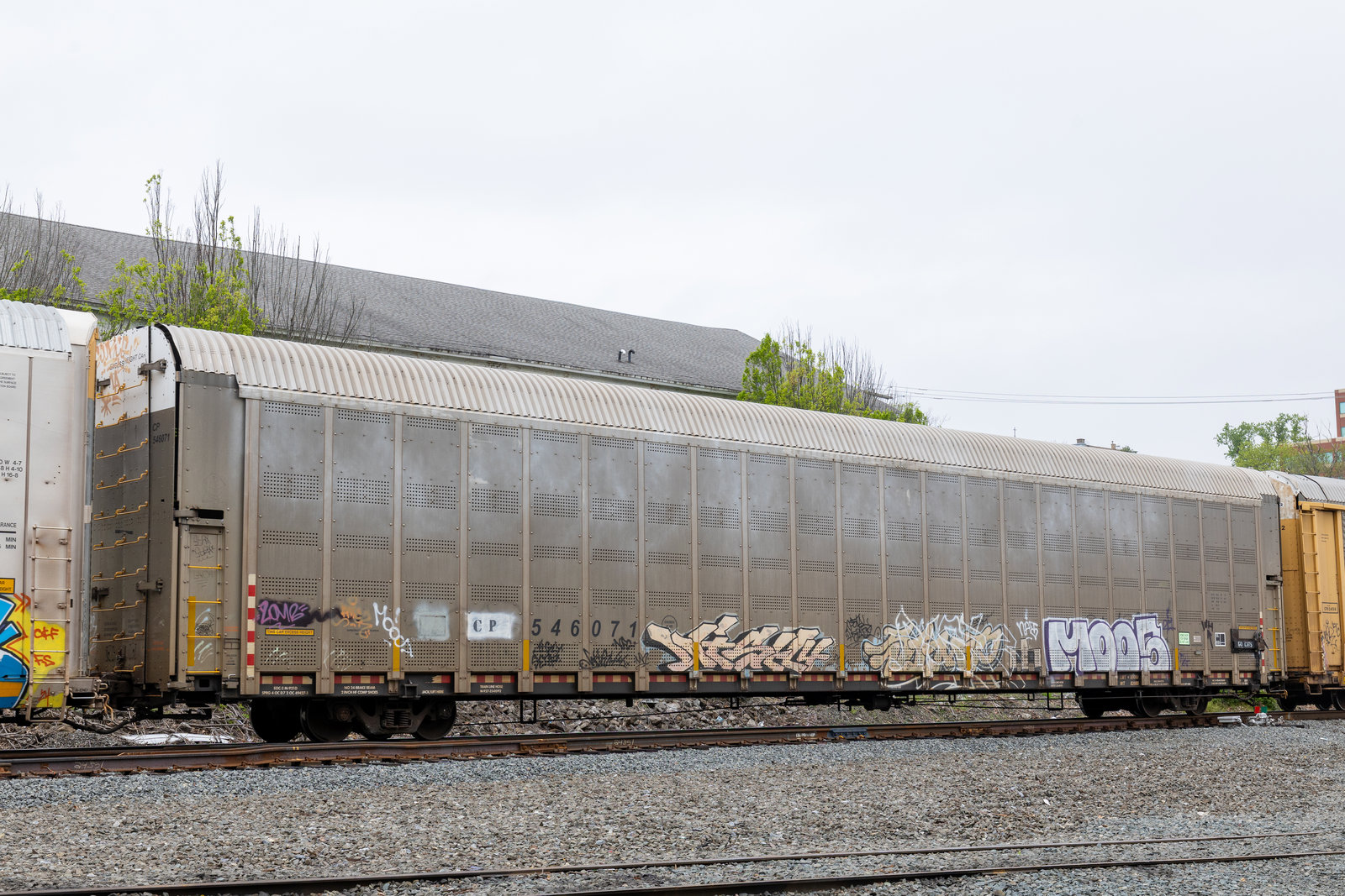 CP 546071
