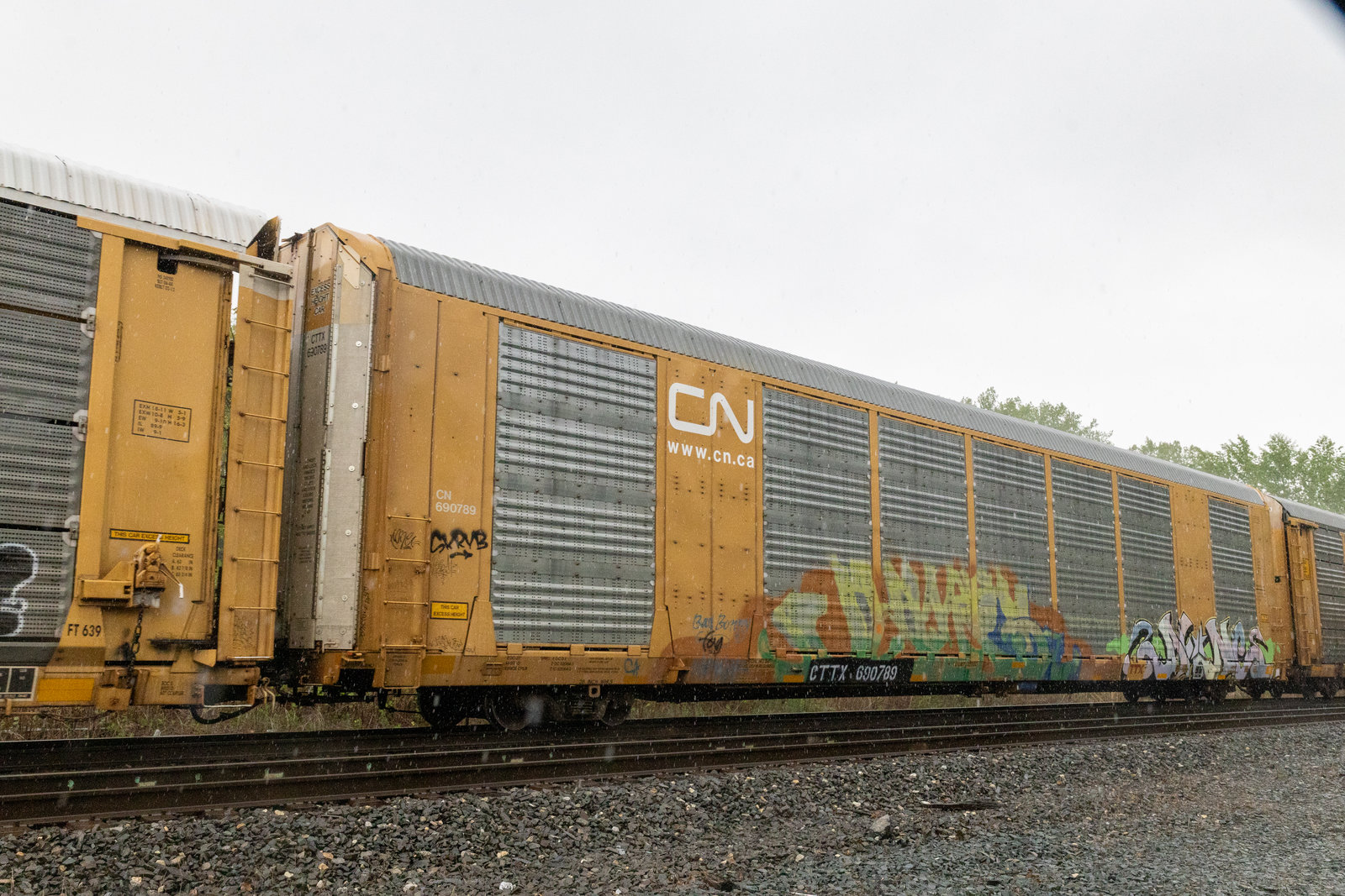 CTTX 690789