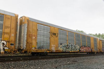 CTTX 694523