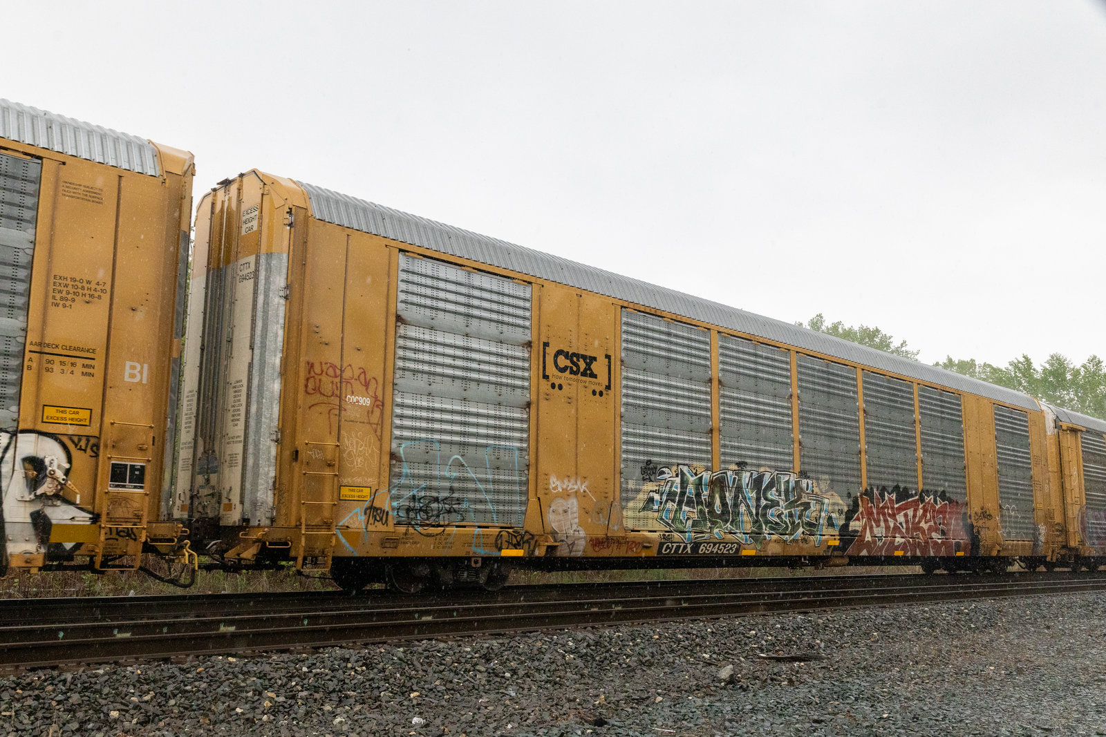 CTTX 694523