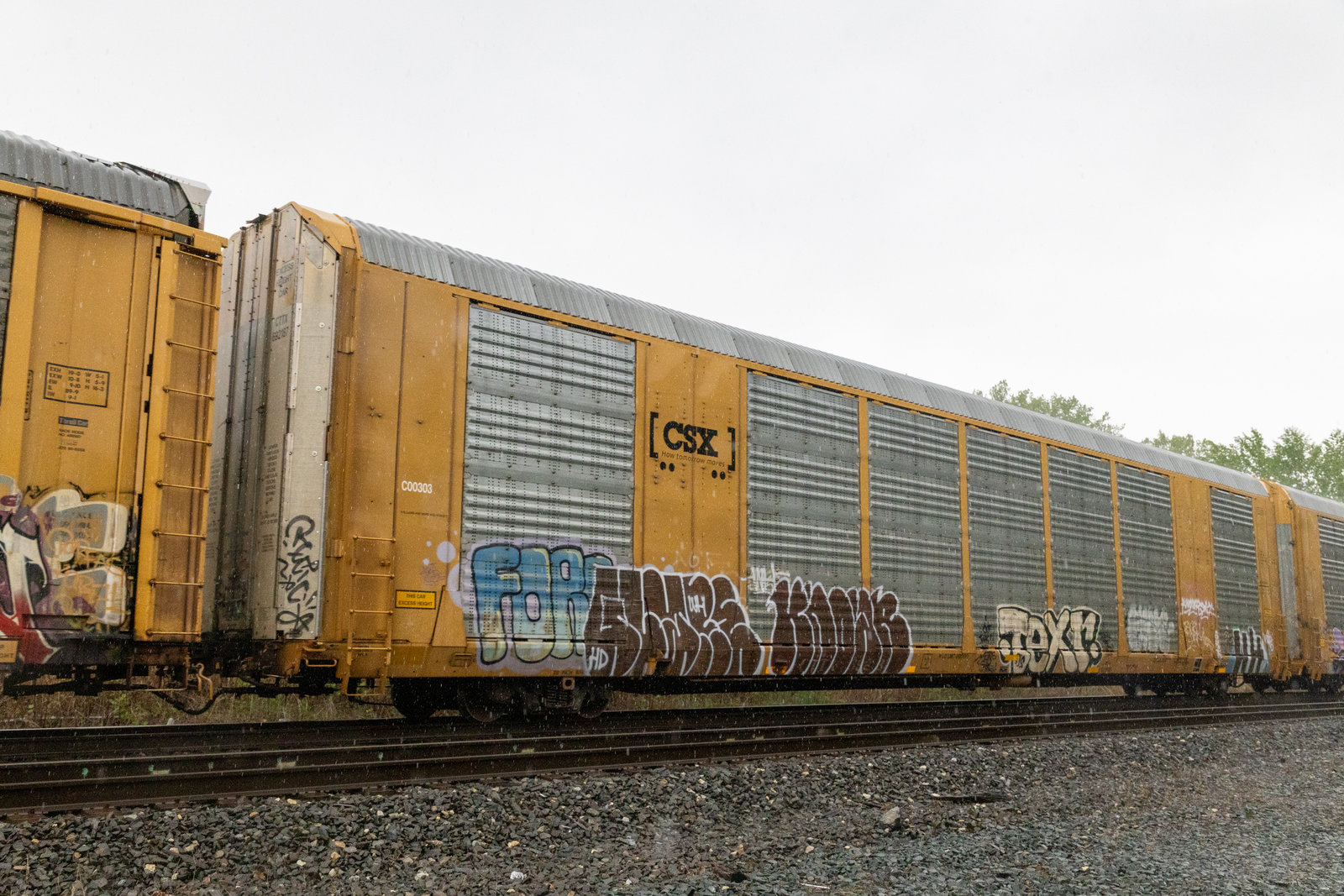 CTTX 692187