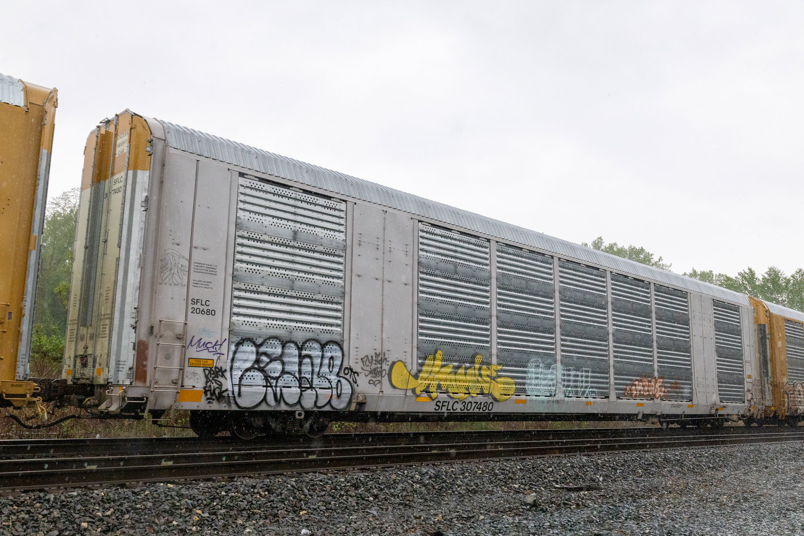SFLC 307480