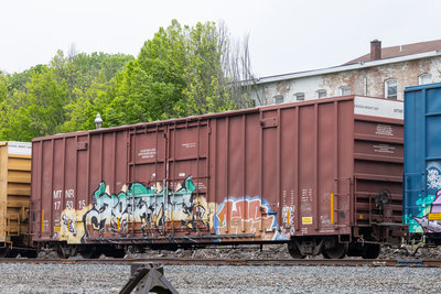 MTNR 175315