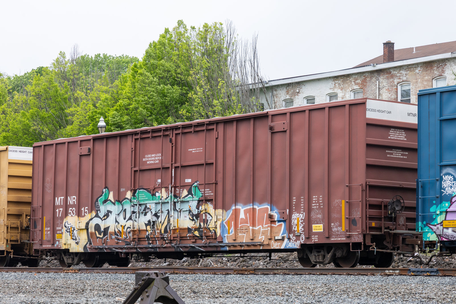 MTNR 175315