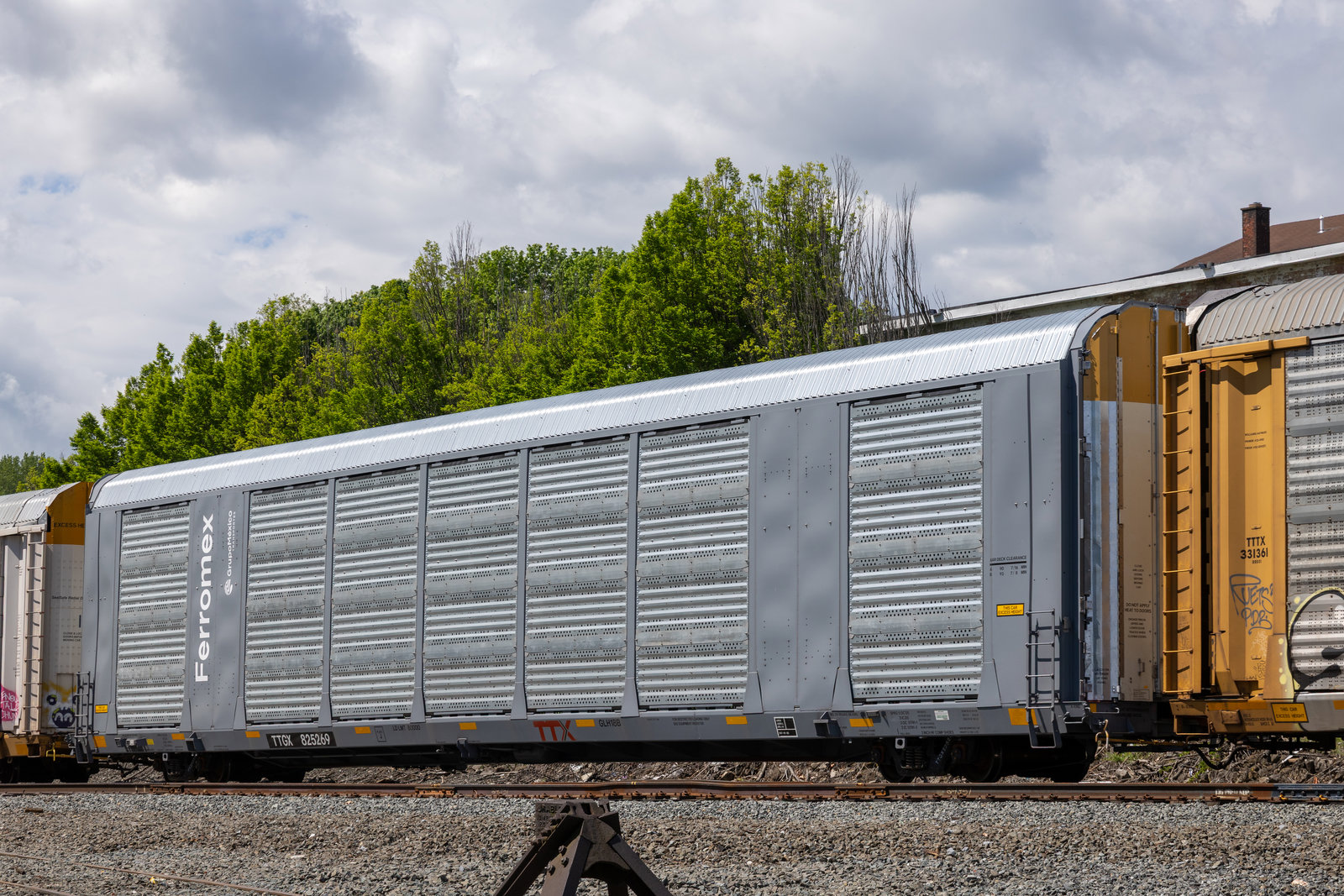 TTGX 825269