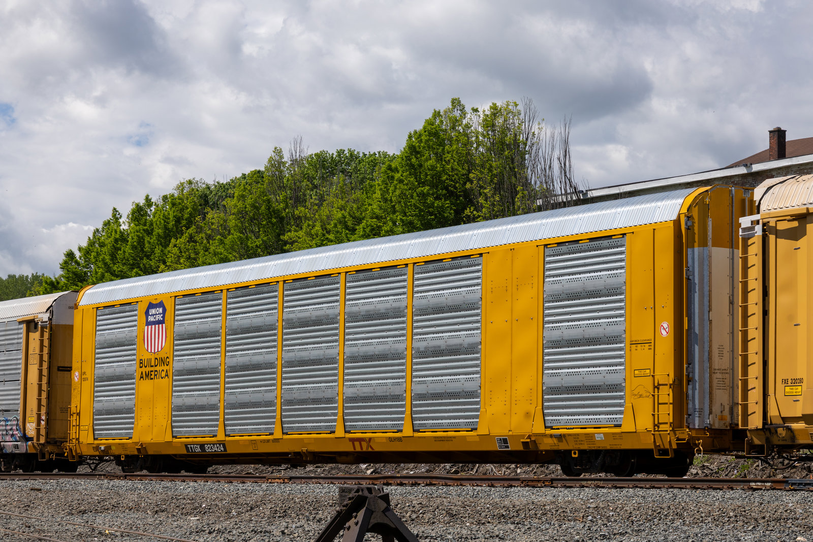 TTGX 823424