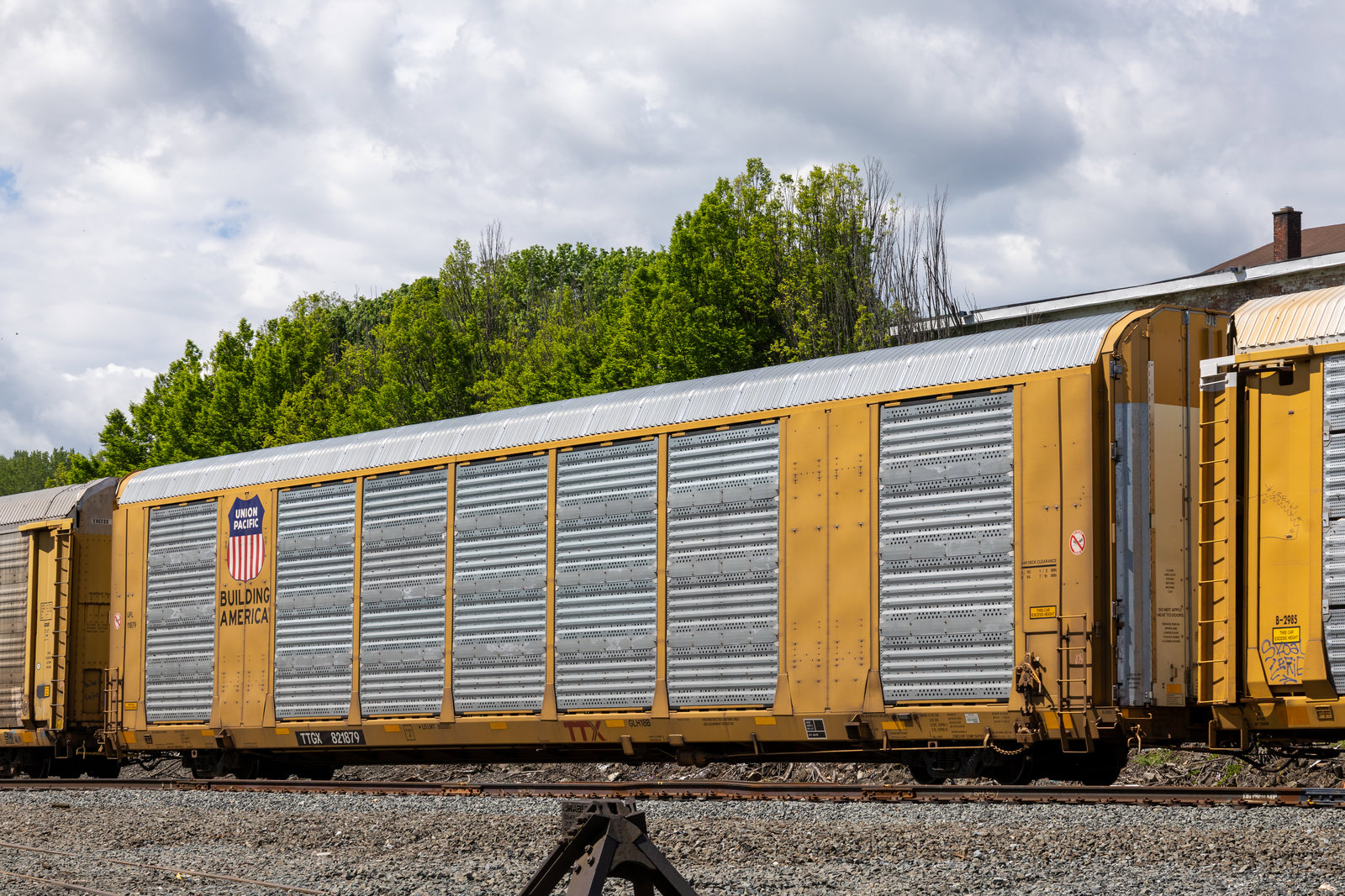 TTGX 821879