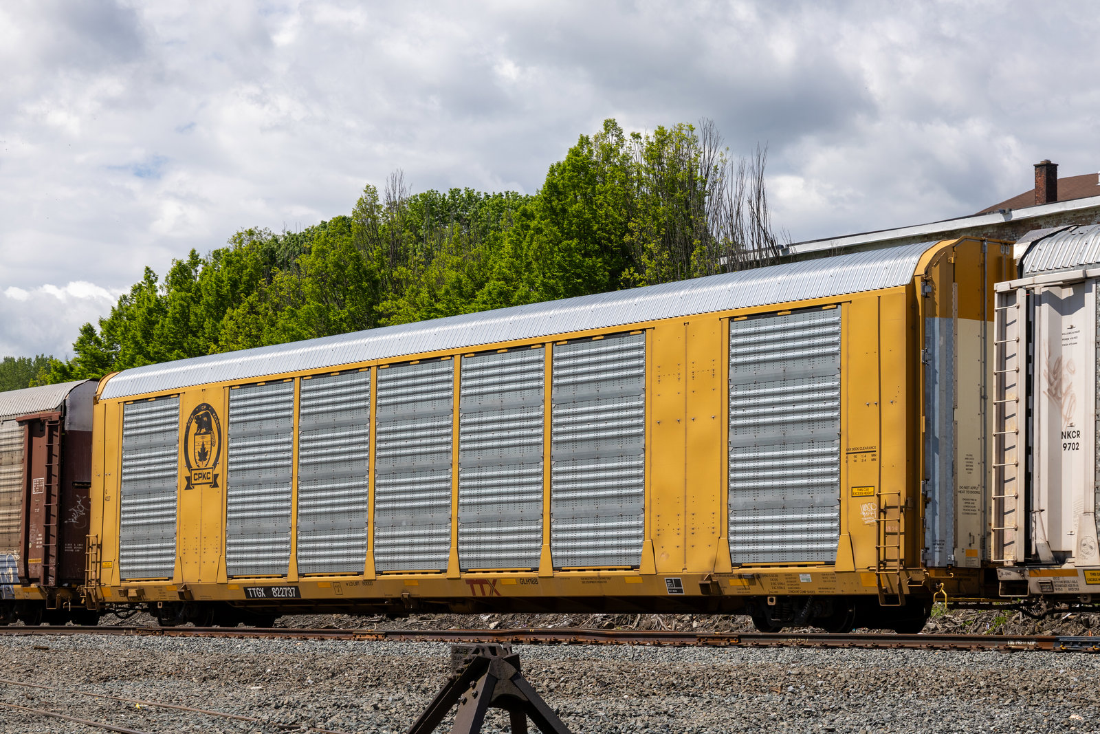 TTGX 822737
